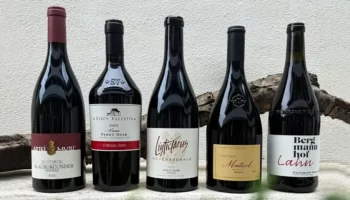pinot nero