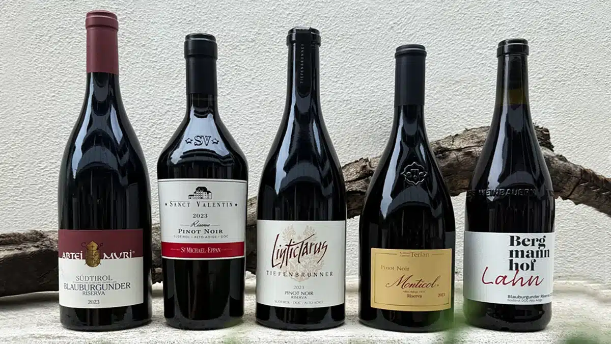 pinot nero