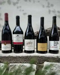 pinot nero
