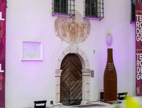 teroldego rotaliano