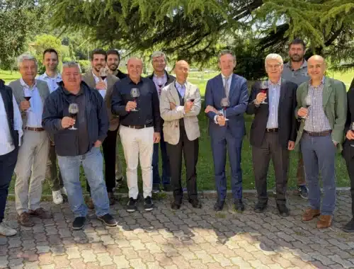 consorzio valpolicella