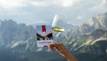 vinovip cortina