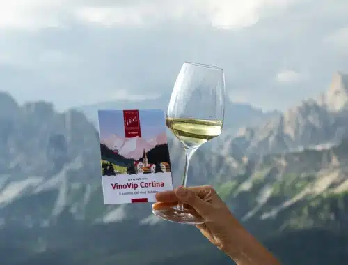 vinovip cortina