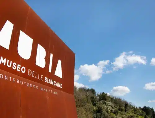 aperitivo al museo