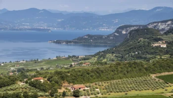 chiaretto estate
