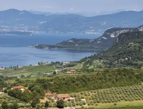 chiaretto estate