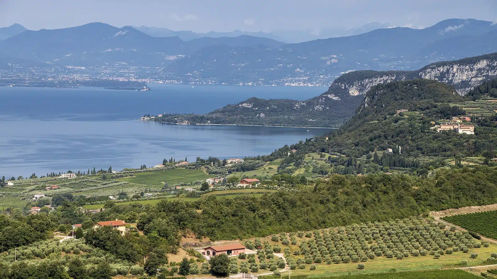 chiaretto estate