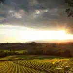 colli di conegliano