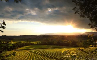 colli di conegliano