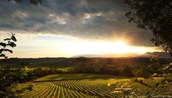colli di conegliano