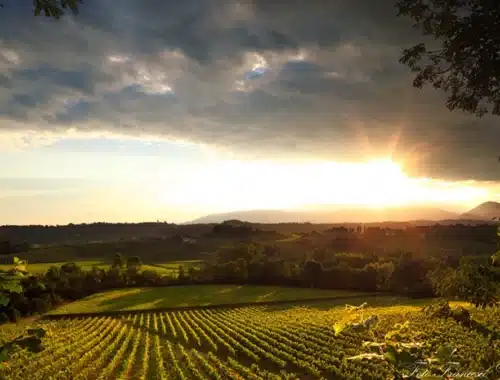 colli di conegliano