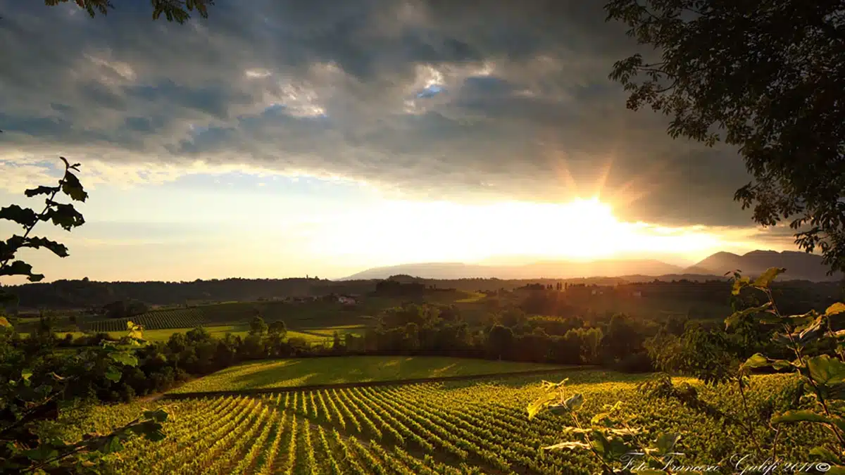 colli di conegliano