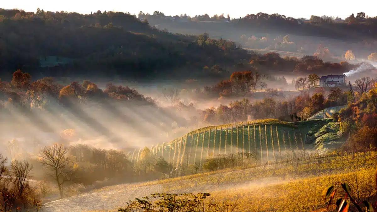 colli di conegliano