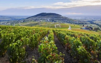 côte de brouilly