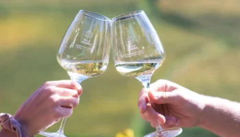 muller thurgau