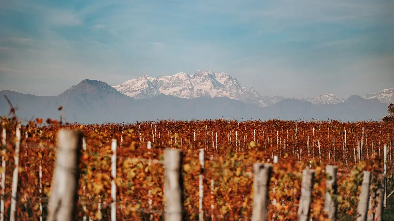 alto piemonte