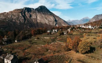 alto piemonte