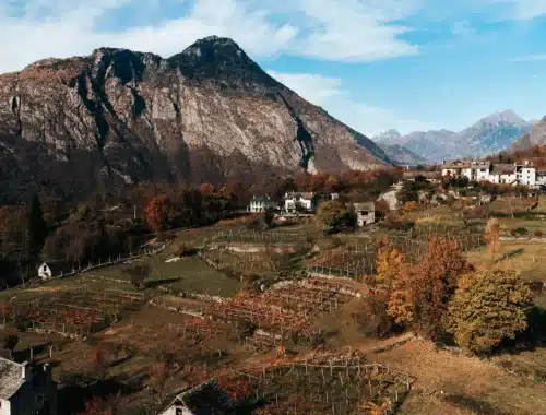 alto piemonte