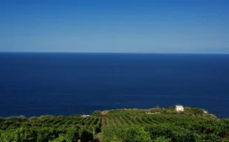 consorzio malvasia lipari