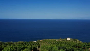 consorzio malvasia lipari