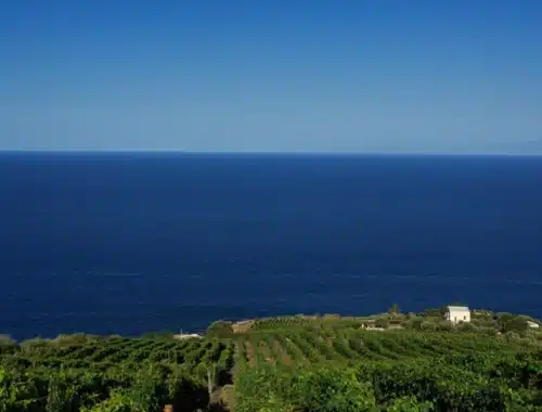 consorzio malvasia lipari