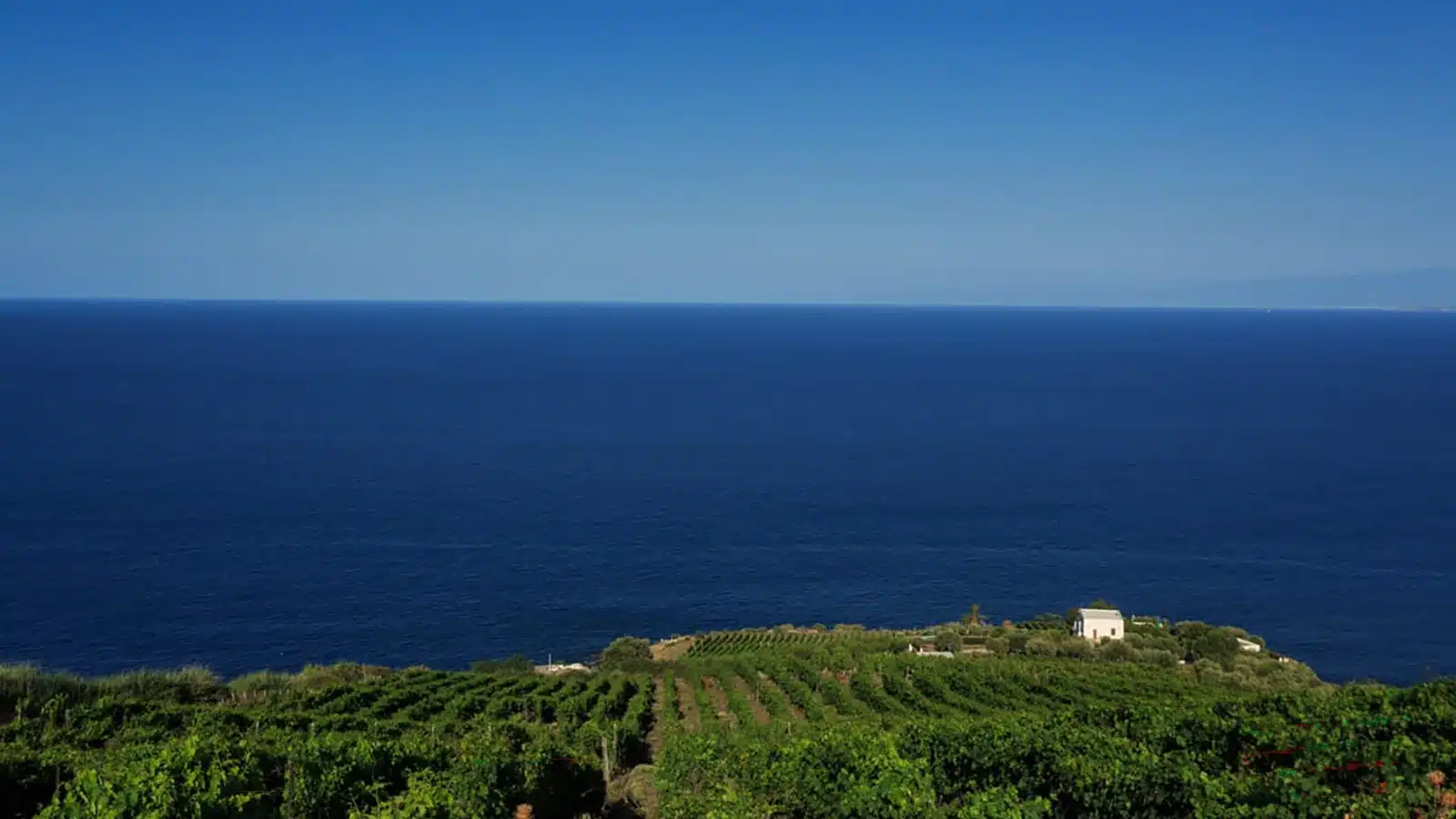 consorzio malvasia lipari