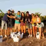donne del vino