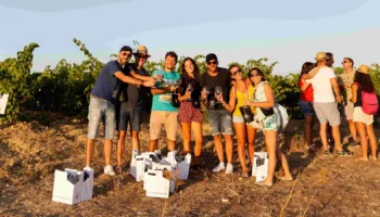 donne del vino
