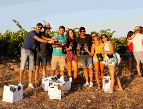 donne del vino