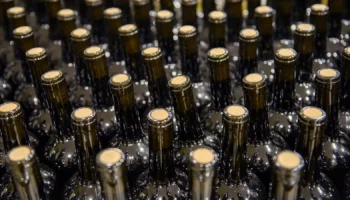 export vino