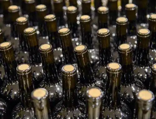 export vino