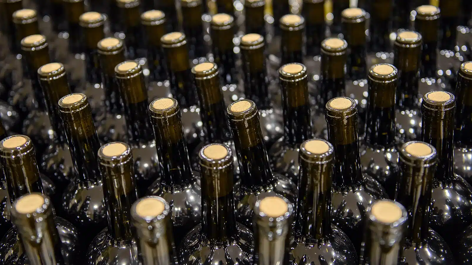 export vino