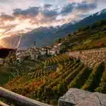 morbegno in cantina