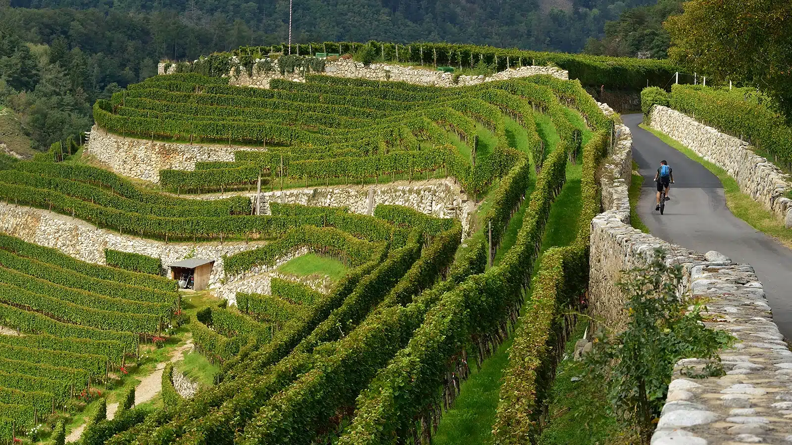 abbazia di novacella