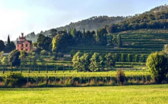 castello bonomi