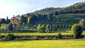 castello bonomi