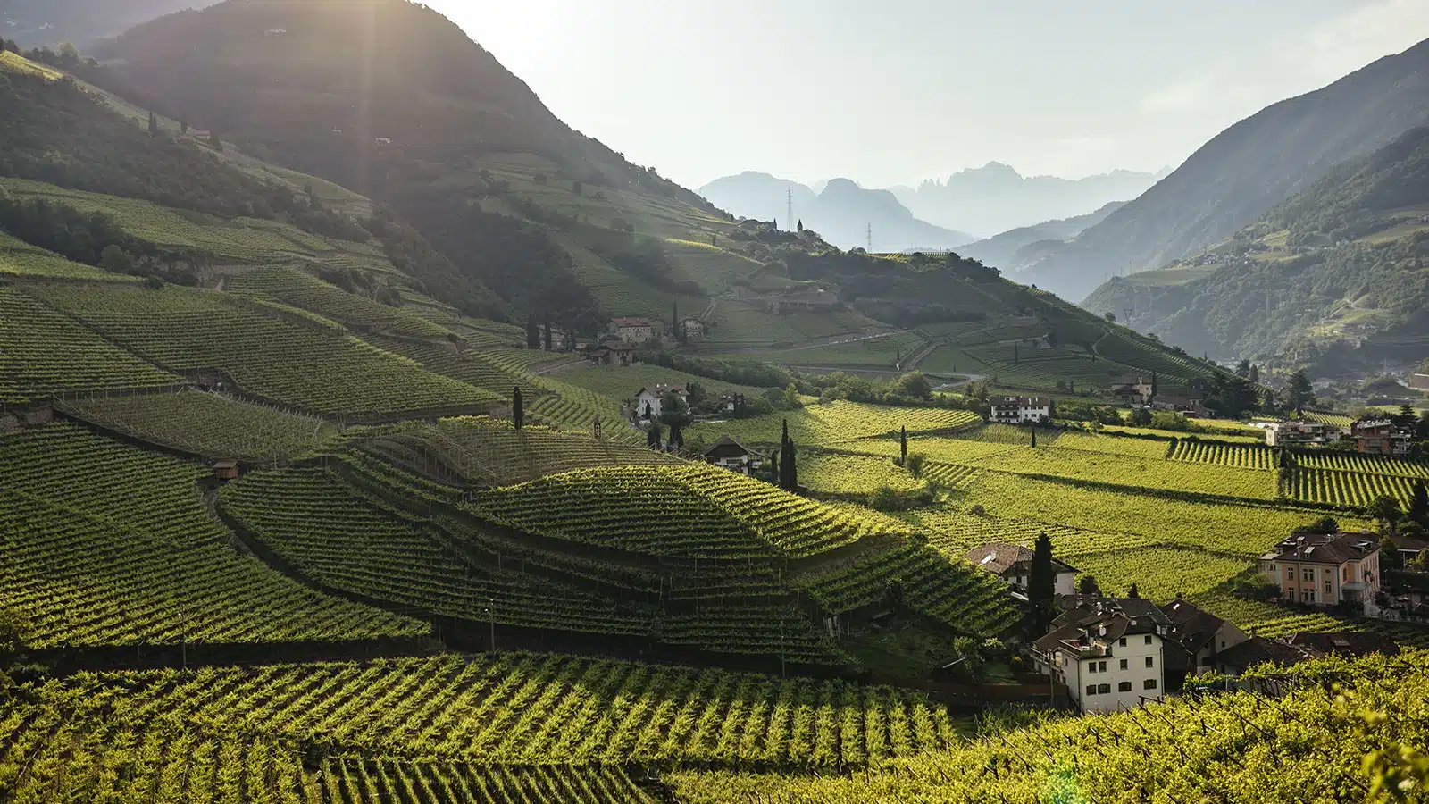 consorzio alto adige