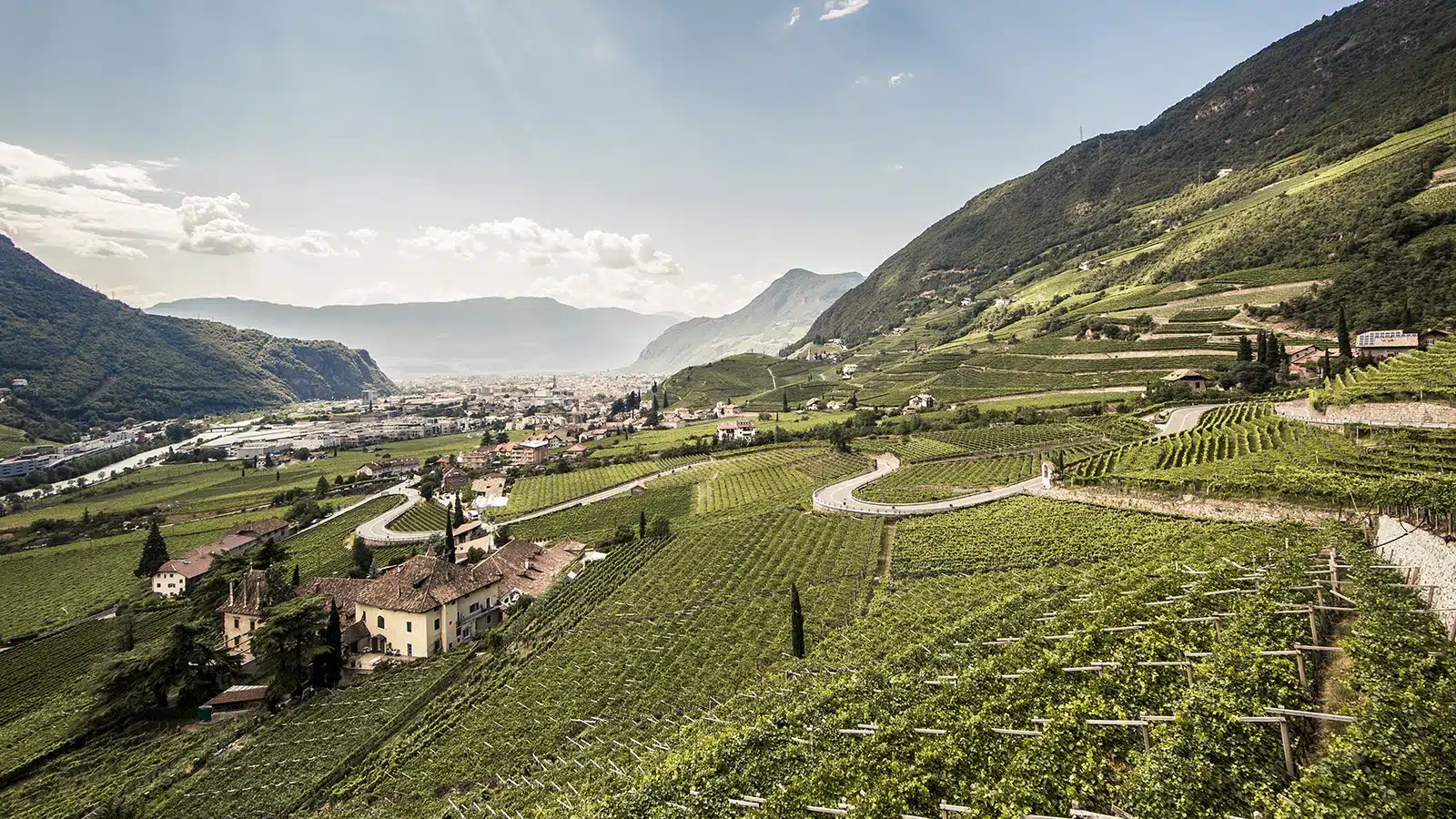 consorzio alto adige