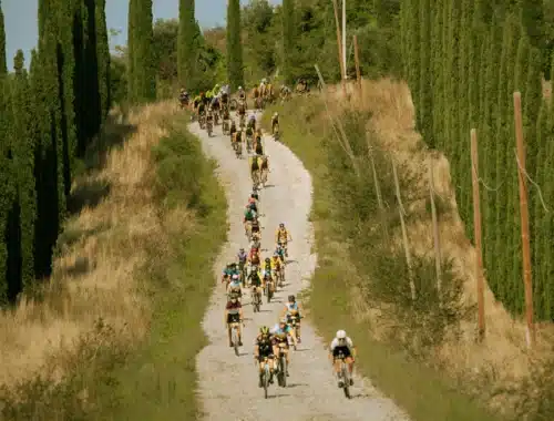 ingravel morellino