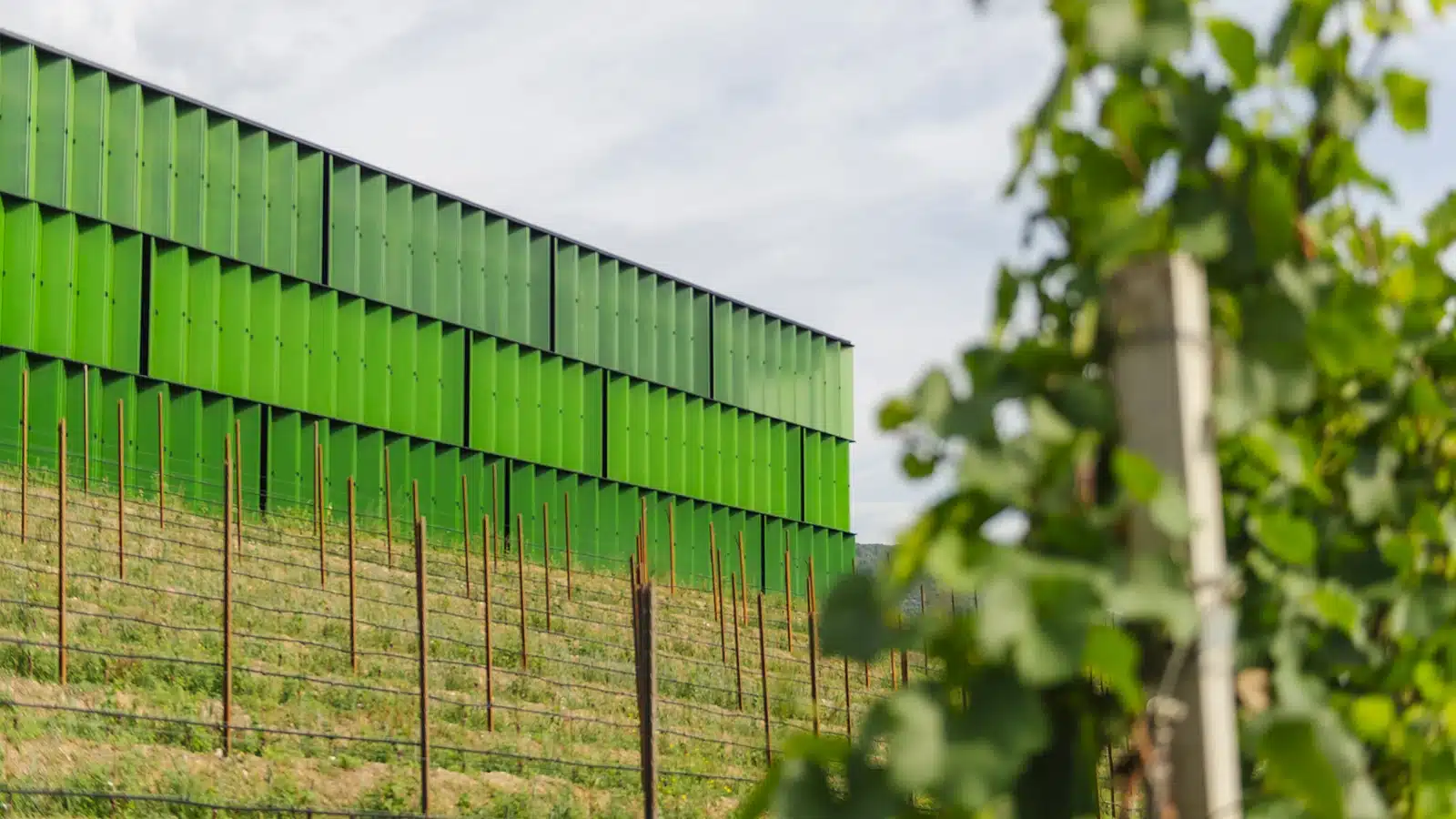cantina tramin