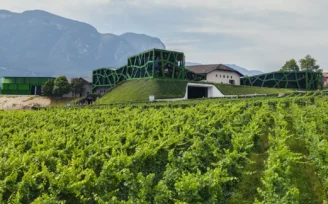cantina tramin