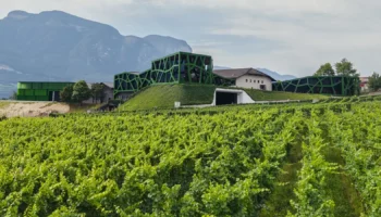 cantina tramin