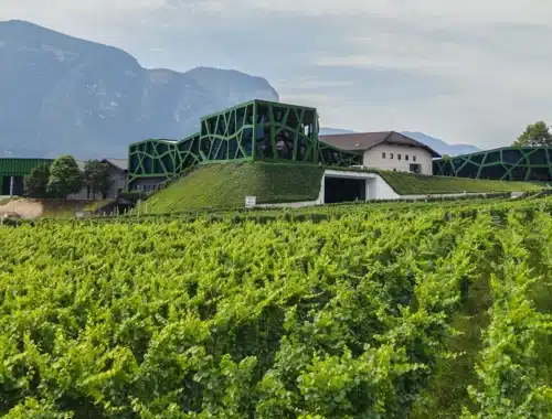 cantina tramin
