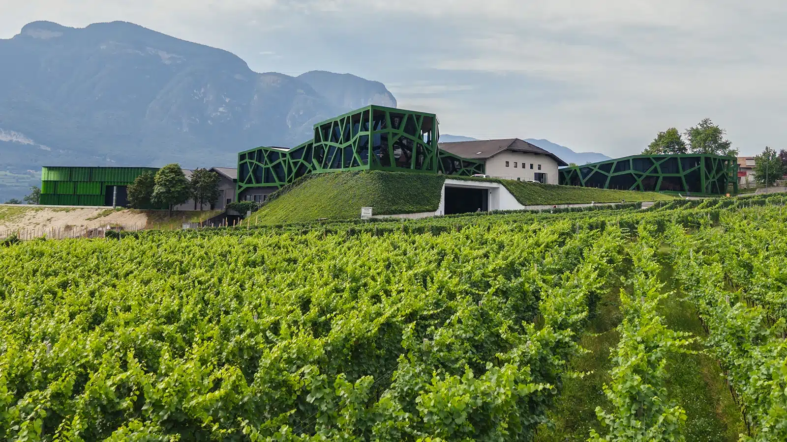 cantina tramin