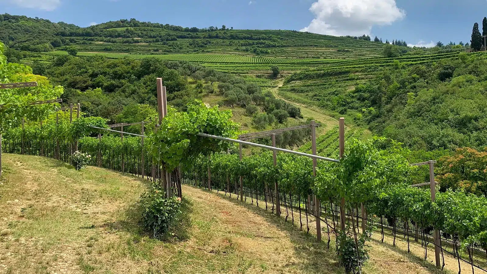 torre di terzolan