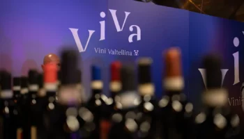 viva vini valtellina