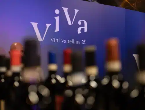 viva vini valtellina