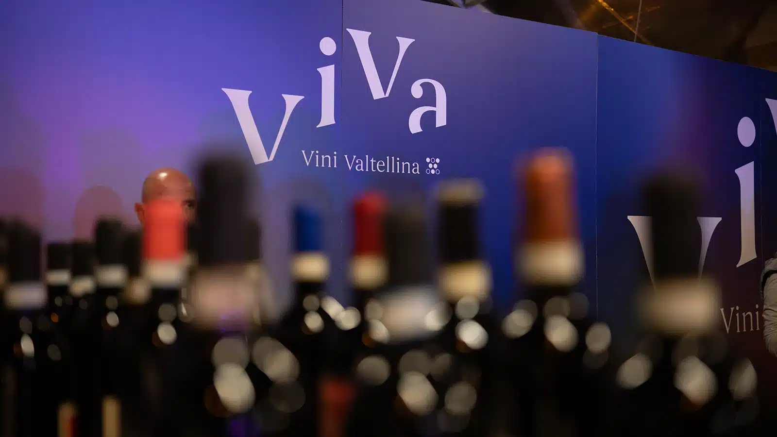 viva vini valtellina