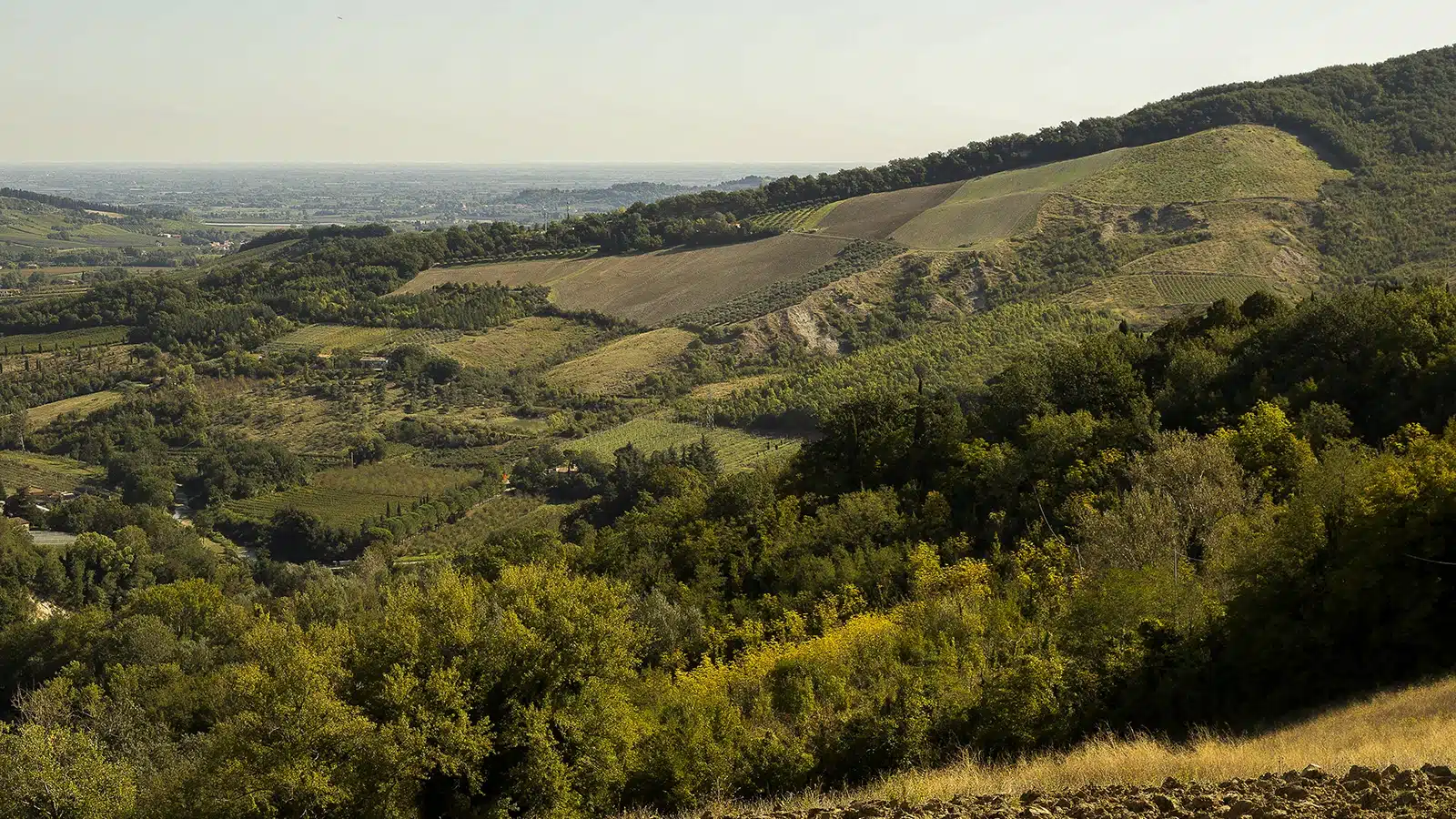 cantina maurizio costa