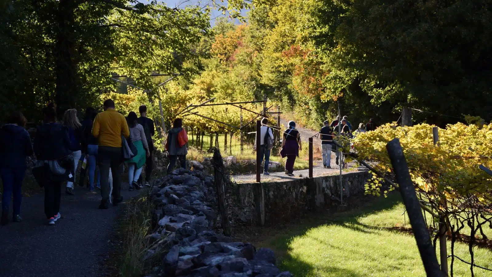 divin ottobre